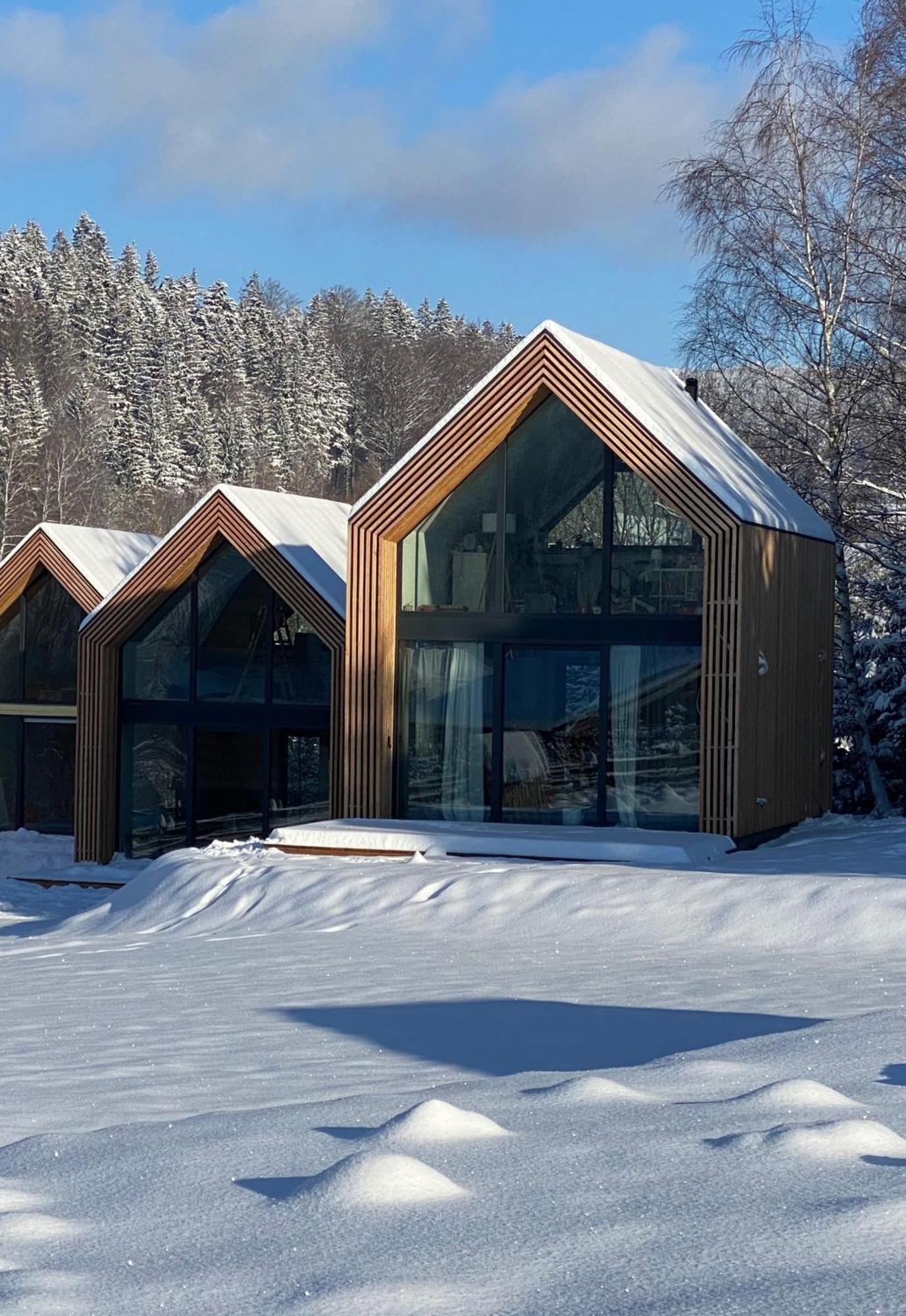 Domki Pod Lasem - Domek Sosnowy Stronie Śląskie 外观 照片