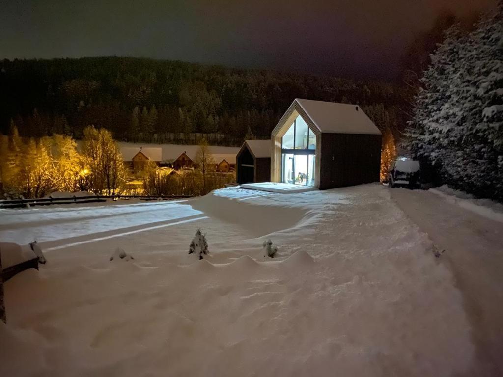 Domki Pod Lasem - Domek Sosnowy Stronie Śląskie 外观 照片